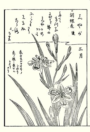 photo83.jpg