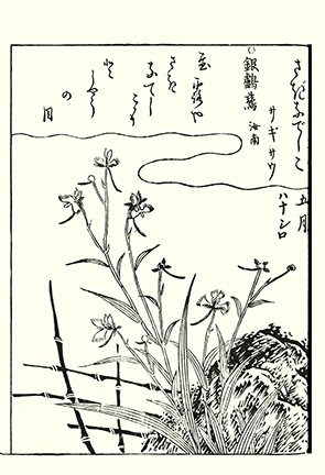 photo94.jpg