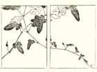 photo17_small.jpg