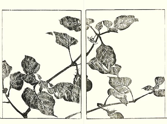 photo26.jpg