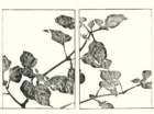 photo26_small.jpg