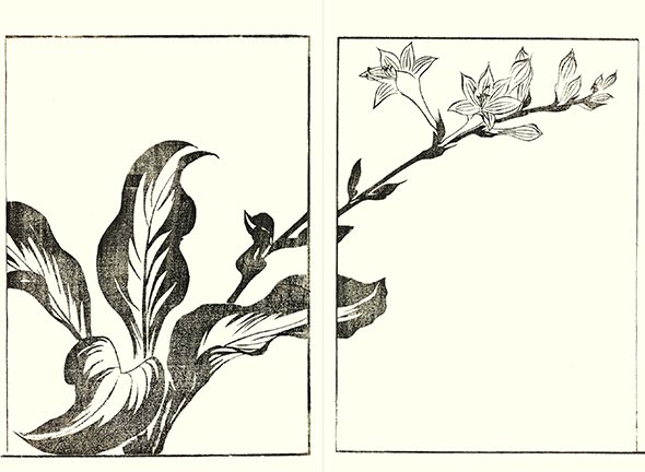 photo28.jpg