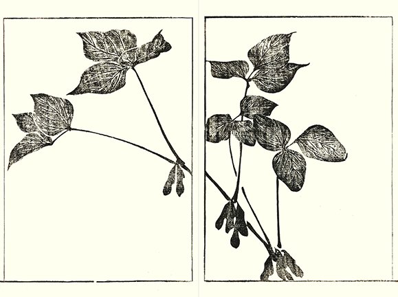 photo35.jpg