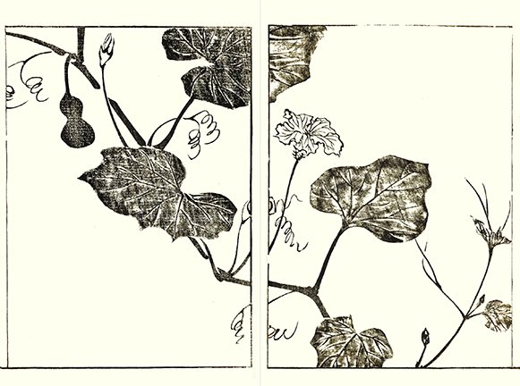 photo38.jpg