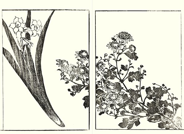 photo49.jpg