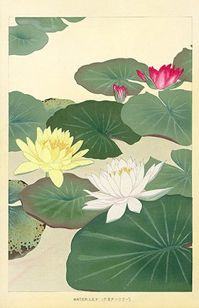 photo28.jpg