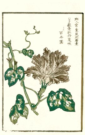 photo.jpg