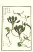 photo10_small.jpg