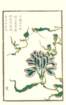 photo12_small.jpg