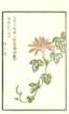 photo14_small.jpg