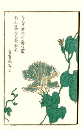 photo15.jpg