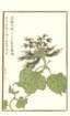 photo16_small.jpg