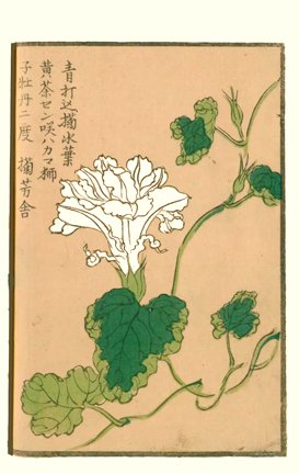 photo18.jpg