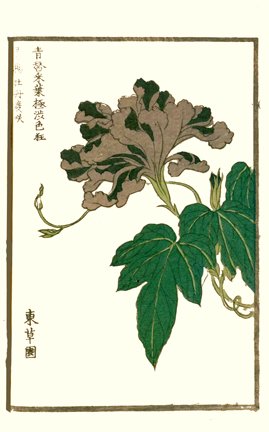 photo20.jpg