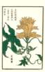photo21_small.jpg