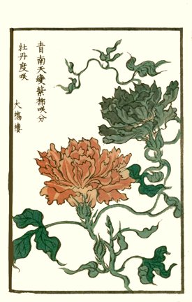 photo22.jpg