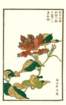 photo25_small.jpg