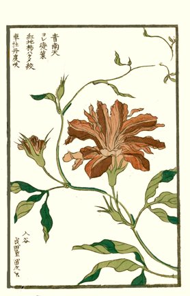 photo26.jpg