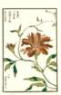 photo26_small.jpg