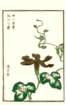 photo27_small.jpg