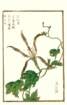 photo28_small.jpg