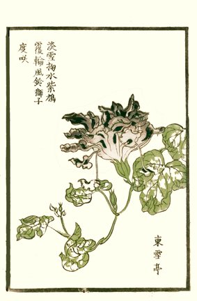 photo30.jpg