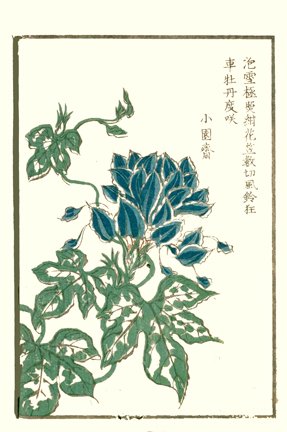 photo32.jpg