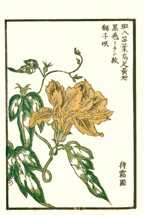photo33.jpg