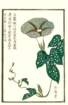 photo36_small.jpg