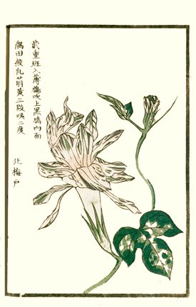photo38.jpg