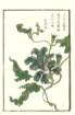 photo39_small.jpg