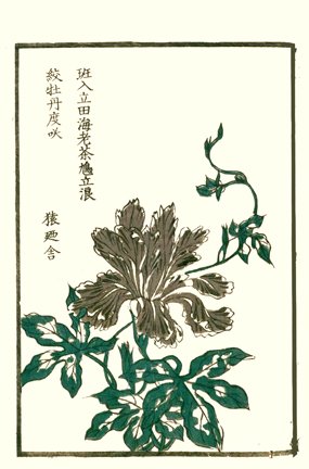 photo45.jpg
