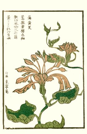 photo48.jpg