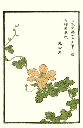photo49.jpg