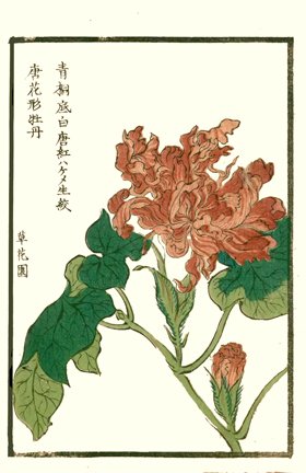 photo50.jpg