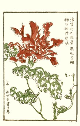 photo55.jpg
