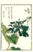 photo58_small.jpg