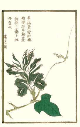photo6.jpg