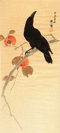 photo11.jpg