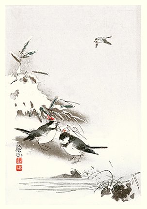 photo7.jpg