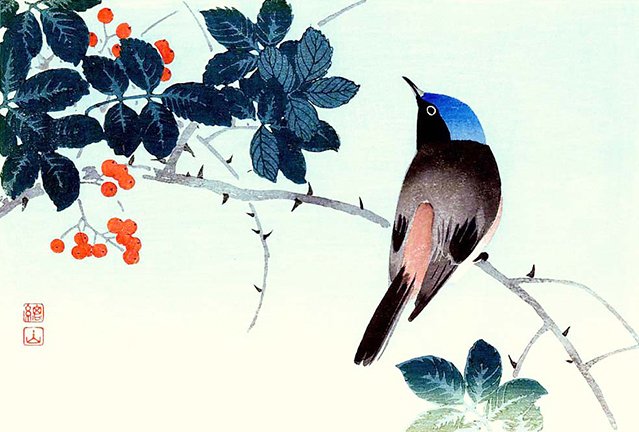 photo13.jpg