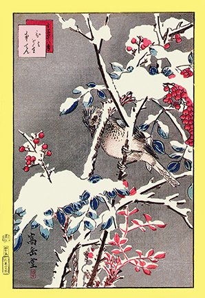 photo45.jpg