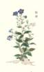 photo10_small.jpg
