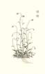 photo11_small.jpg