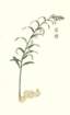 photo12_small.jpg