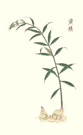 photo13.jpg