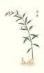 photo13_small.jpg