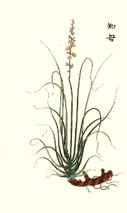 photo15.jpg