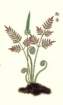 photo21_small.jpg