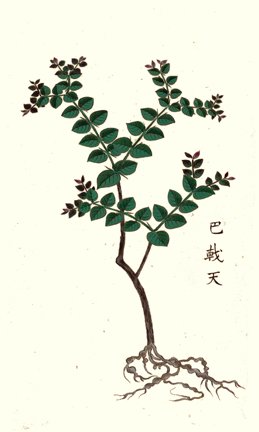 photo23.jpg